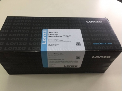 Amaxa Lonza Cell Line Nucleofector® Kit V 转染试剂盒