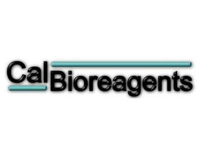 CalBioreagents代理，CalBioreagents苏州代理，